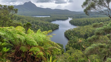 Obraz premium High Angle View of Winding River Through Lush Forest