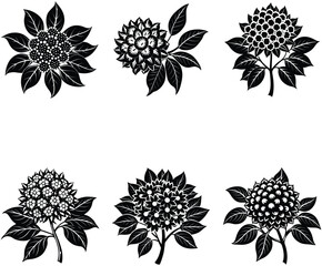 Litchi Blossom Silhouette Vector