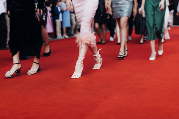 Red carpet with ropes and golden barriers on a luxury party entrance, cinema tv premiere film...