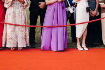 Red carpet with ropes and golden barriers on a luxury party entrance, cinema tv premiere film...