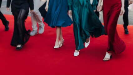 Red carpet with ropes and golden barriers on a luxury party entrance, cinema tv premiere film...