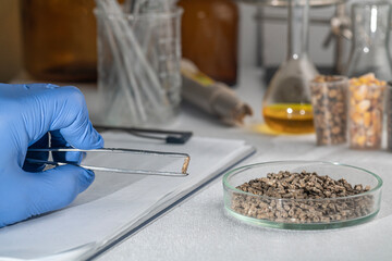 Laboratory studies of animal feed. Studies on the analysis of agricultural grains and seeds in laboratory conditions.