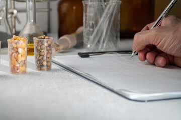 Laboratory studies of corn and soybean seeds. Research on the analysis of agricultural grains and seeds in laboratory conditions.