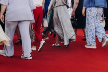 Red carpet with ropes and golden barriers on a luxury party entrance, cinema tv premiere film...