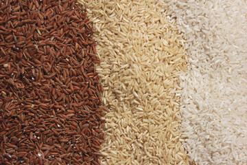 Different Rice Varieties in Rustic Kitchen.