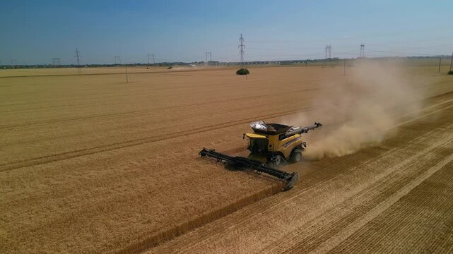 Wheat threshing combine in the field. Advanced technology for harvesting grains 4k