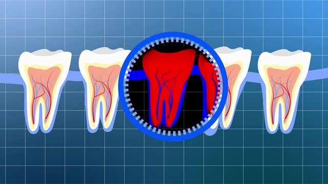 Teeth in gums. Dental examination under x-ray