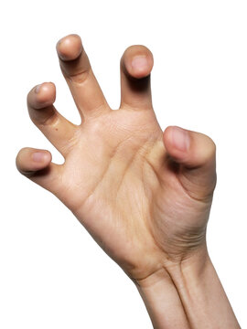 tiger hand 어흥 손