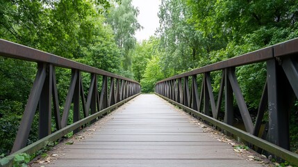 Fototapeta premium Wooden bridge path, green trees, nature walk