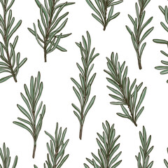 Fototapeta premium Seamless pattern of rosemary sprigs on white background colored hand drawn vector illustration use for textiles wallpapers crafts creating home decor fashion items culinary cosmetic packaging