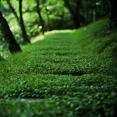 Naklejka premium Lush green path winding through a tranquil forest, sunlight dappling through leaves; perfect for nature, serenity, and peace themes
