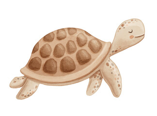 Cute turtle, sea animal character in neutral colors, watercolor hand drawn isolated illustration for baby