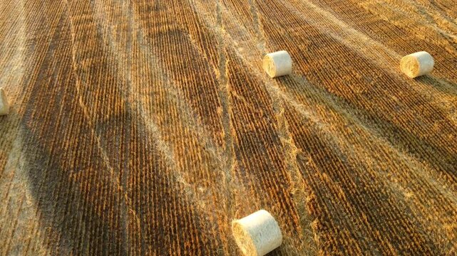 aerial vew of the field