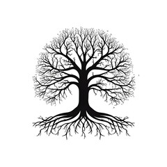 tree roots silhouette