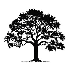 a oak tree silhouette