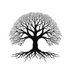 a tree with roots silhouette