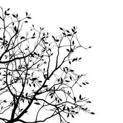 tree branches silhouette