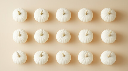 Fototapeta premium Minimalist setup of white pumpkins arranged symmetrically on light background, creating serene and elegant autumn display