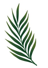 leaves background . Gift paper pattern with leaves, print for gift bags with leaves, print for bed linen with leaves, illustration for postcards