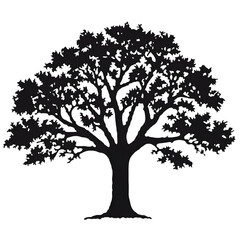 an oak tree silhouette