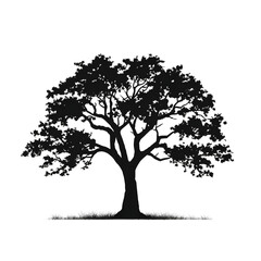 Obraz premium simple tree silhouette
