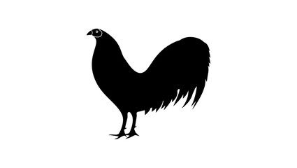 Fighting Rooster, Black Isolated Silhouette