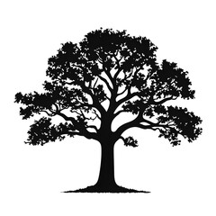 oak tree silhouette