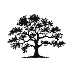 oak silhouette