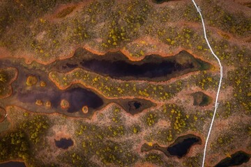 kemeri national park in latvia