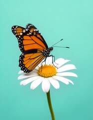 Obraz premium a monarch butterfly with vibrant orange and black.