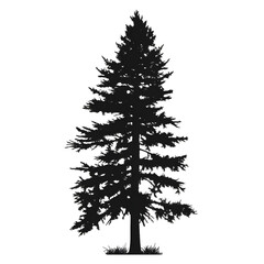 pine tree silhouette