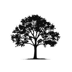 Obraz premium tree png silhouette