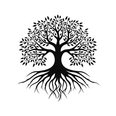 tree roots silhouette