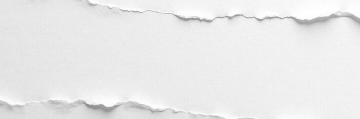 Deep creases, textured white paper background, backdrop, light