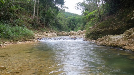 Obraz premium A tranquil mountain river flowing through an untouched forest.