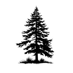 Obraz premium pine tree silhouette