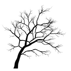 Obraz premium a tree branch silhouette