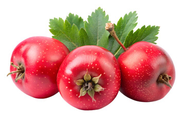three and half hawthorn  isolated on transparent background png