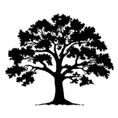 Obraz premium oak tree silhouette