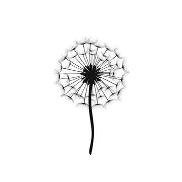 recommend clip art: dandelion silhouette