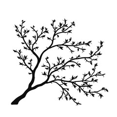 Obraz premium tree branch silhouette