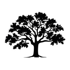 oak tree silhouette