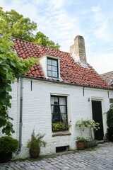 A delightful white cottage adorned with a cheerful red tiled roof sits peacefully amid lush greenery, in a quaint village bathed in sunlight