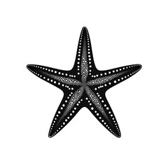 Fototapeta premium starfish silhouette