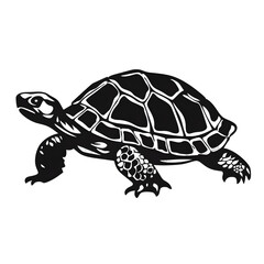 turtle silhouette