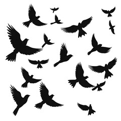 Fototapeta premium birds flight silhouette