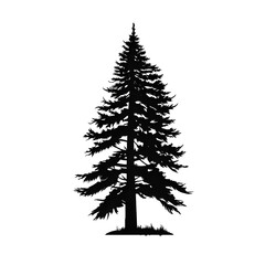 Fototapeta premium pine tree tattoo silhouette
