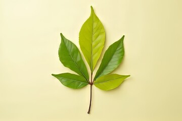 Fototapeta premium Vibrant Green Leaves on a Pastel Background - Nature Photography