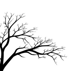 Obraz premium tree branches silhouette