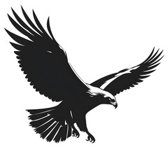 Obraz premium eagle flying silhouette